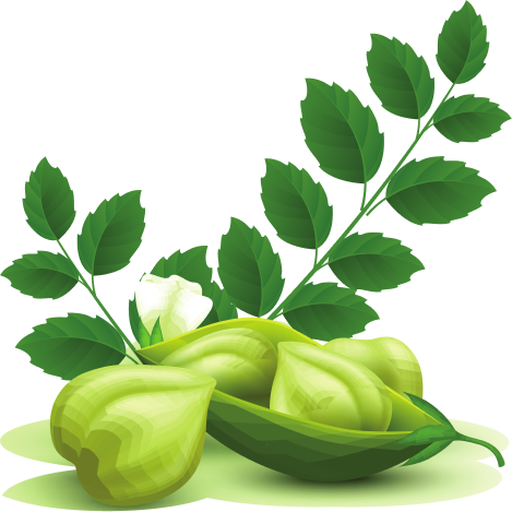 Drmomhand Moringa Oil