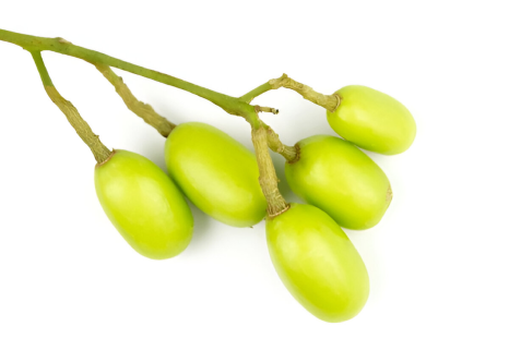 Drmomhand Organic Neem Oil