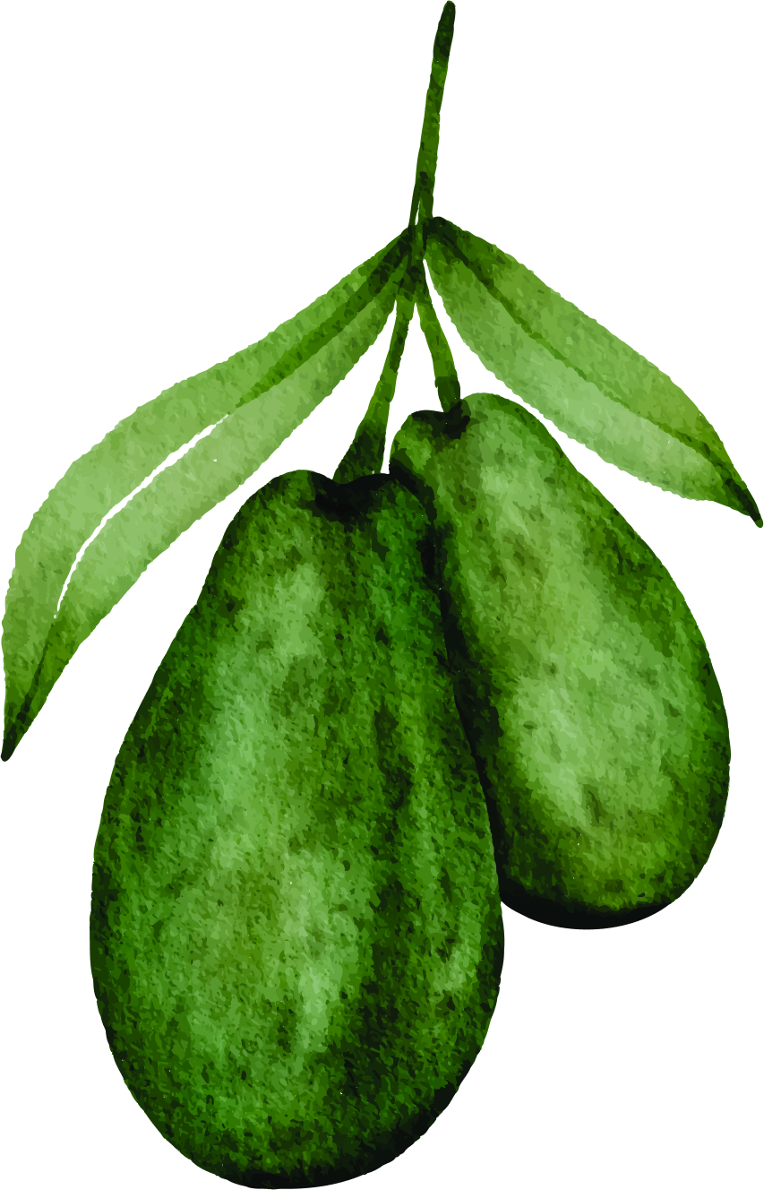 Drmomhand Wild Avocado Oil